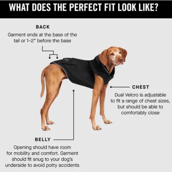 NWT Canada Pooch Torrential Tracker Raincoat for Dogs - Black - Picture 5 of 10